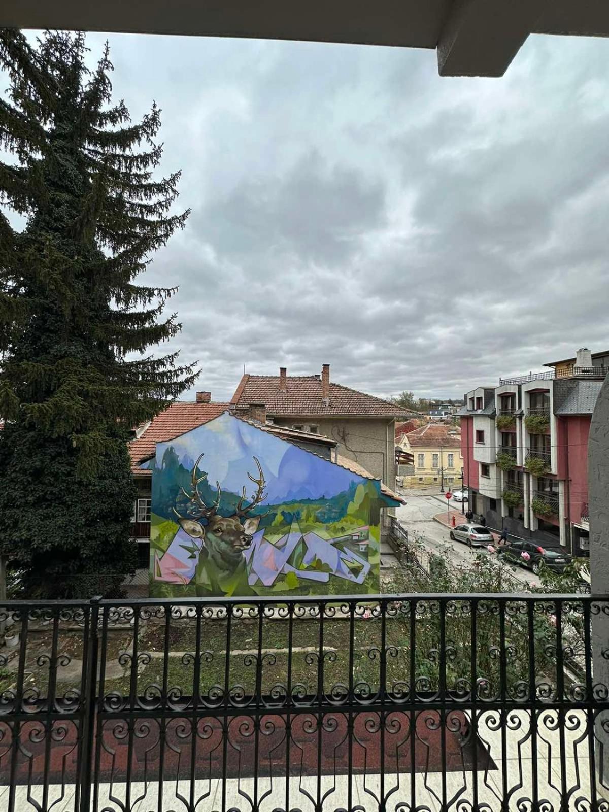 Guesthouse Petra Veliko Tărnovo Exteriör bild